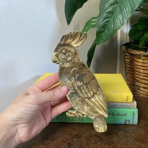 Brass parrot tray
