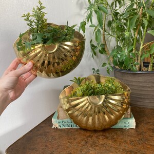 Vintage Large Brass Nautilus Shell Planter Footed-Beach Décor MCM
