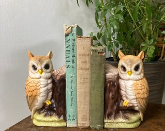 Ceramic owl bookends. M
