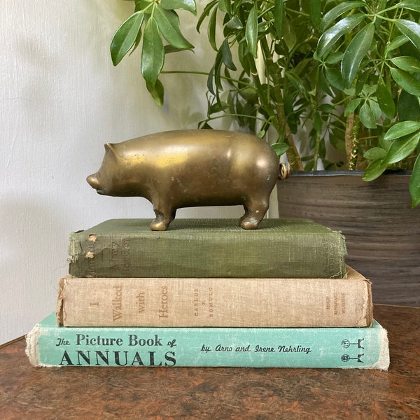 Large brass pig