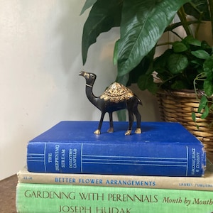 Brass camel