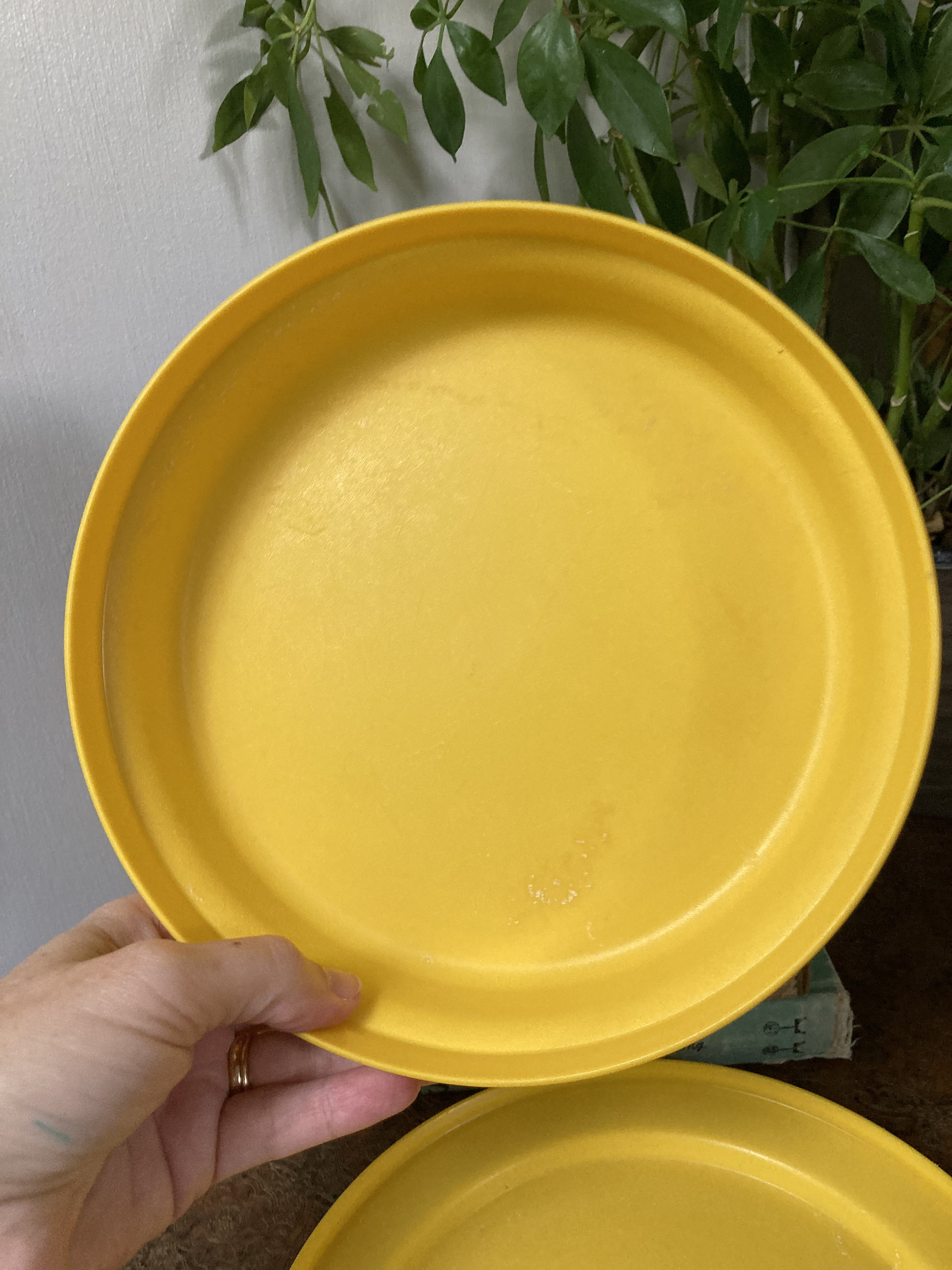Flat Yellow Tupperware Container - Etsy