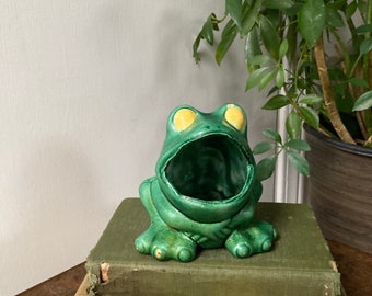 Green frog sponge holder