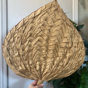Palm leaf fan