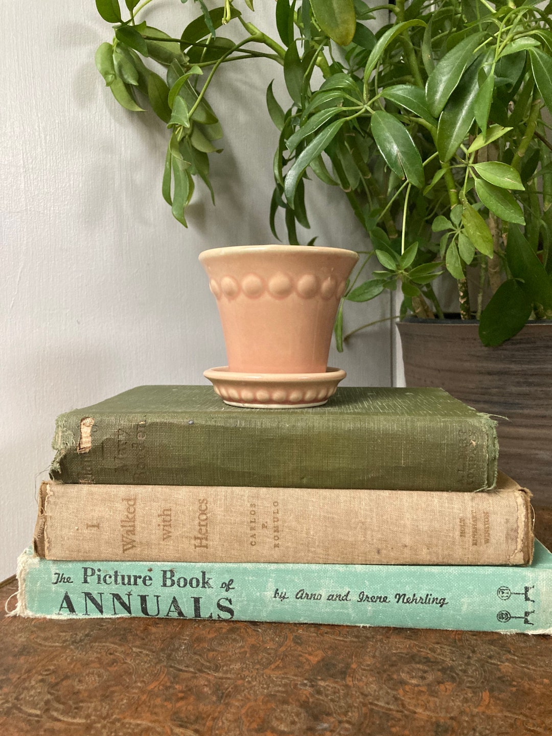 Tiny Blush Pink Planter Etsy