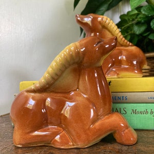 May include: Two ceramic horse figurines in a resting position. The horses are a glossy brown with tan manes. The figurines are placed on a table with books and greenery in the background.