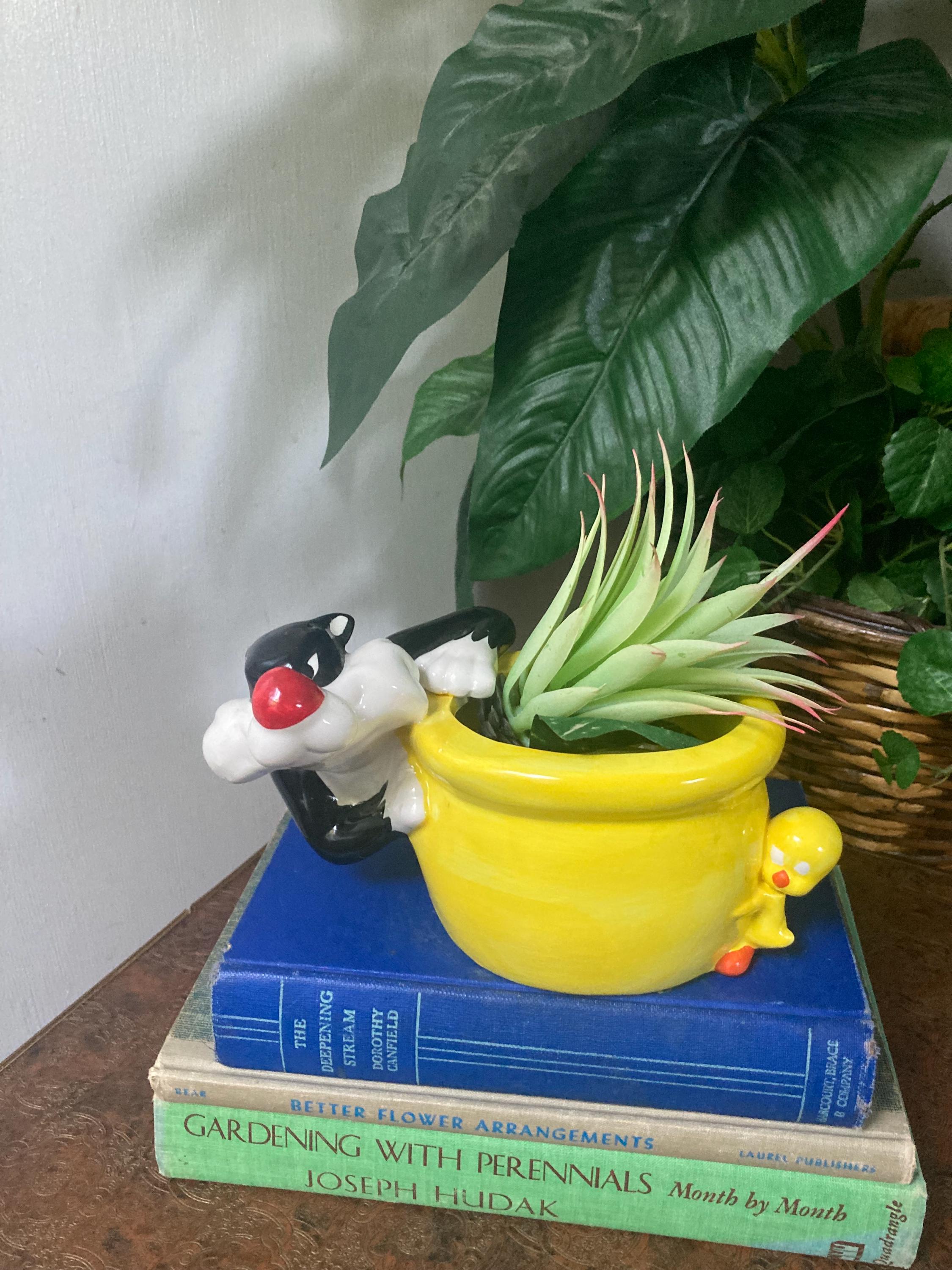 Tweety Bird Garden - Etsy
