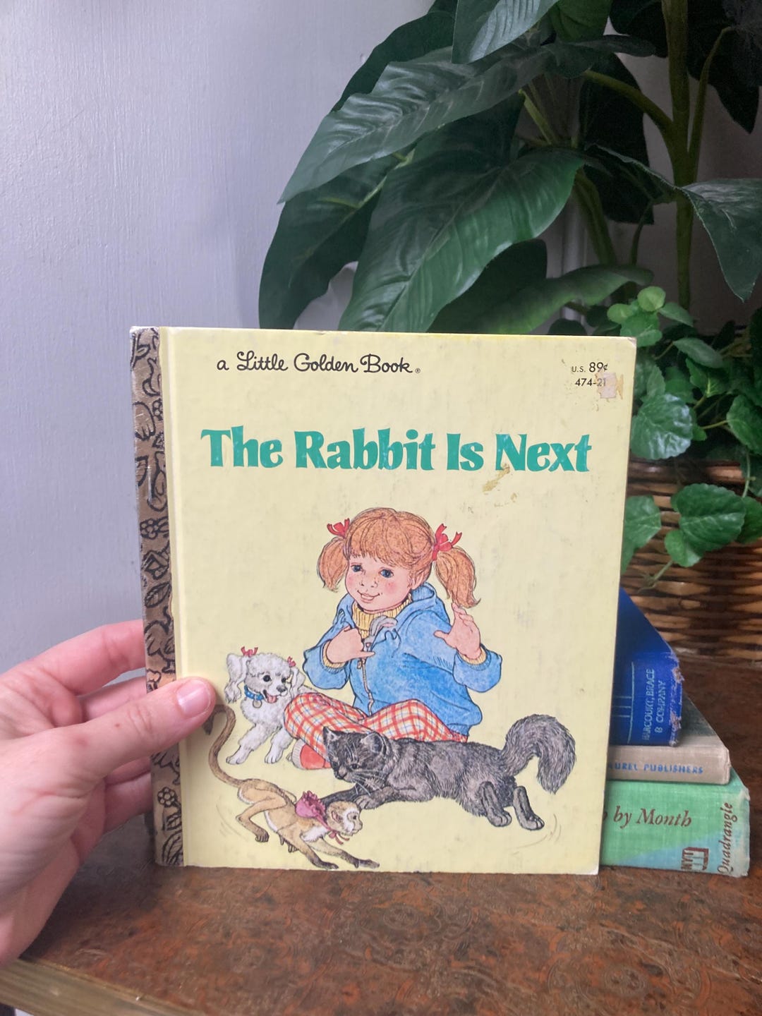 Little Golden Book the Rabbit is Next - Etsy