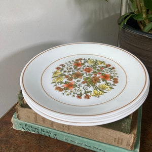 Indian summer Correlle lunch plates