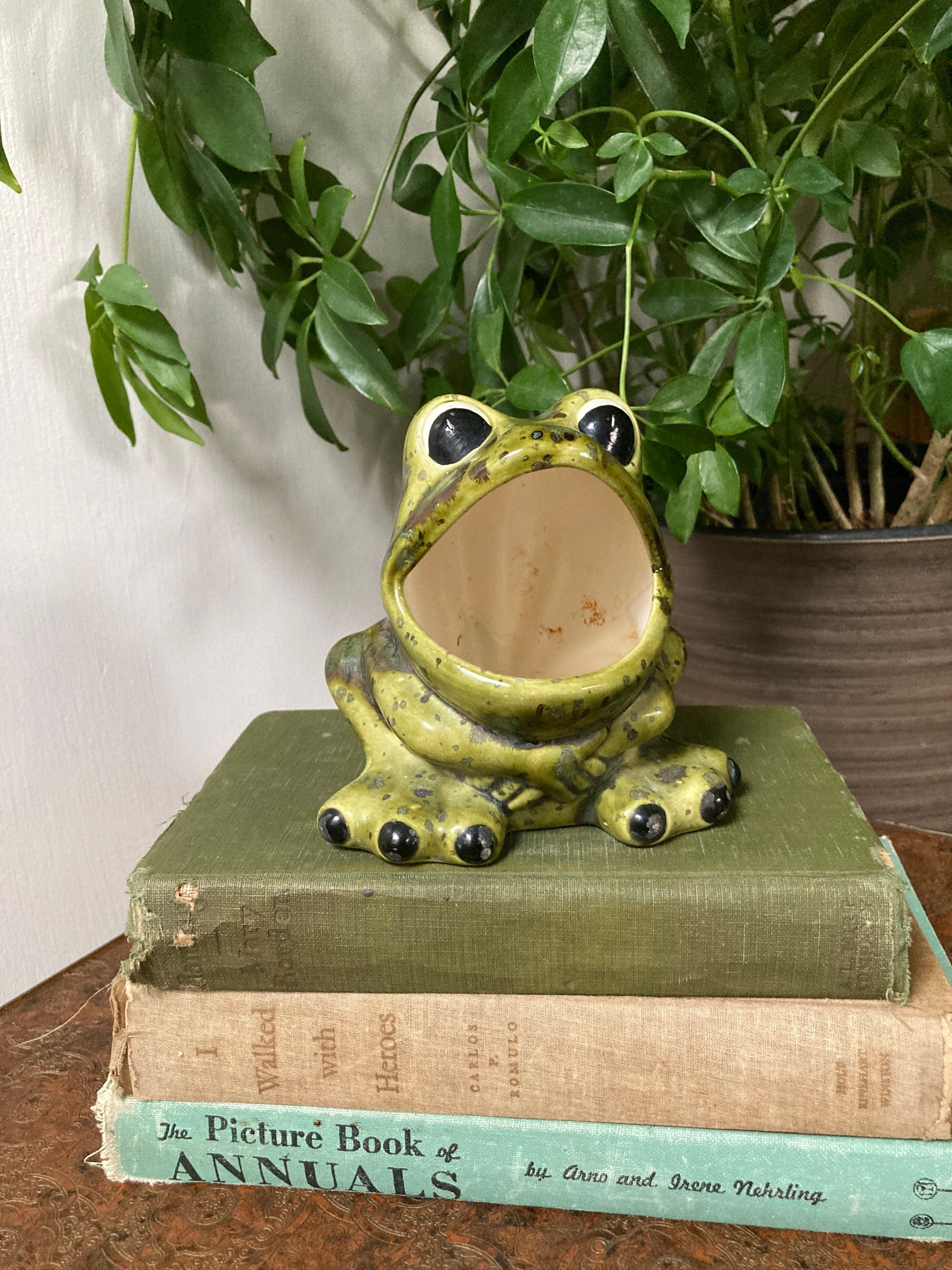 Green Frog Sponge Holder 