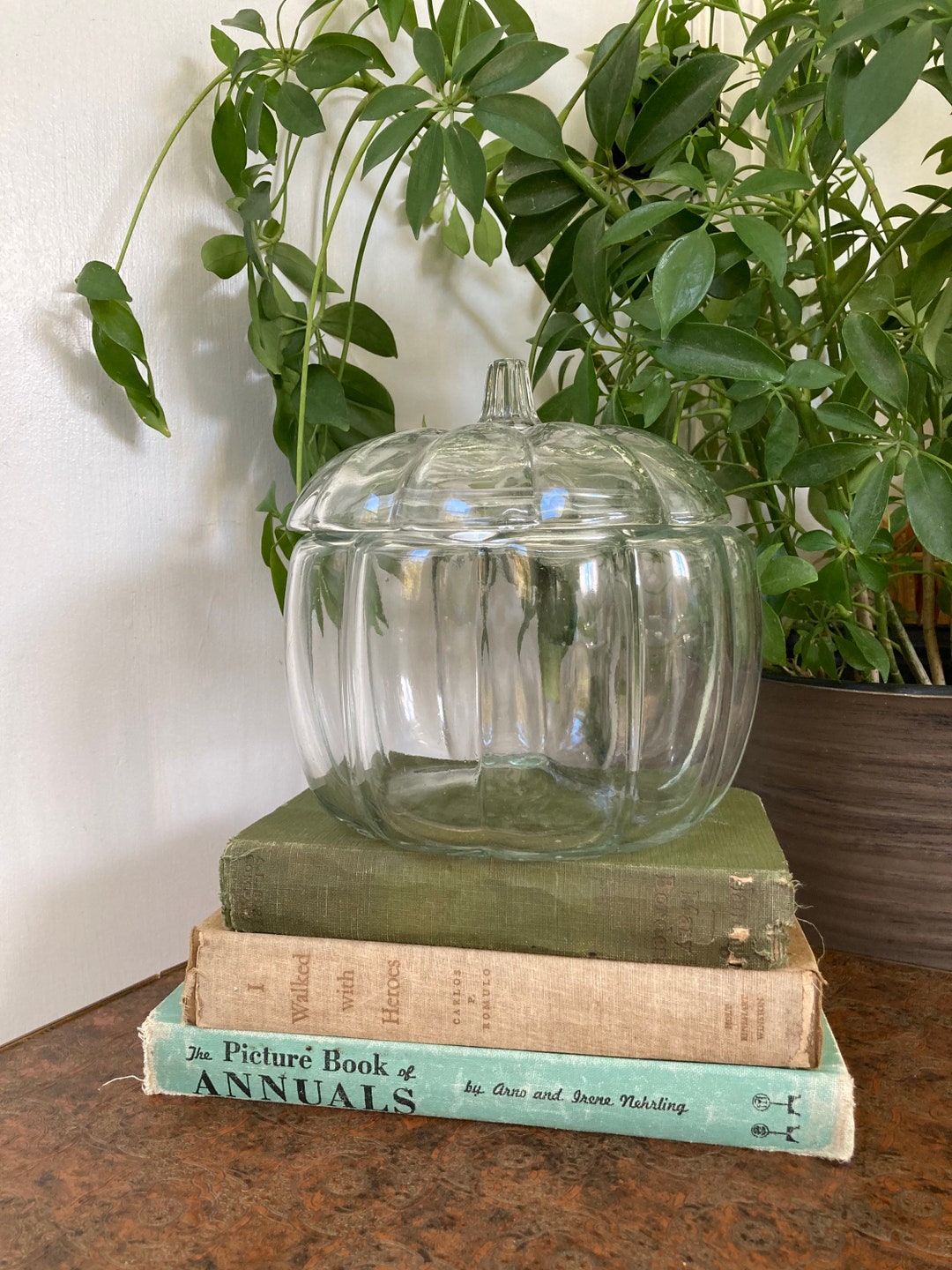 Clear Glass Pumpkin Jar Etsy