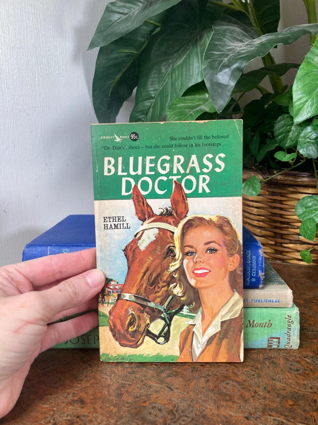 Bluegrass Doctor: 1963 Vintage Romance Novel - Etsy