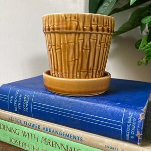 May include: A tan ceramic plant pot with a raised bamboo stalk texture and a matching circular saucer. The pot features a glossy finish with visible fine crackle patterns throughout the glaze, creating a textured appearance on the exterior surface.