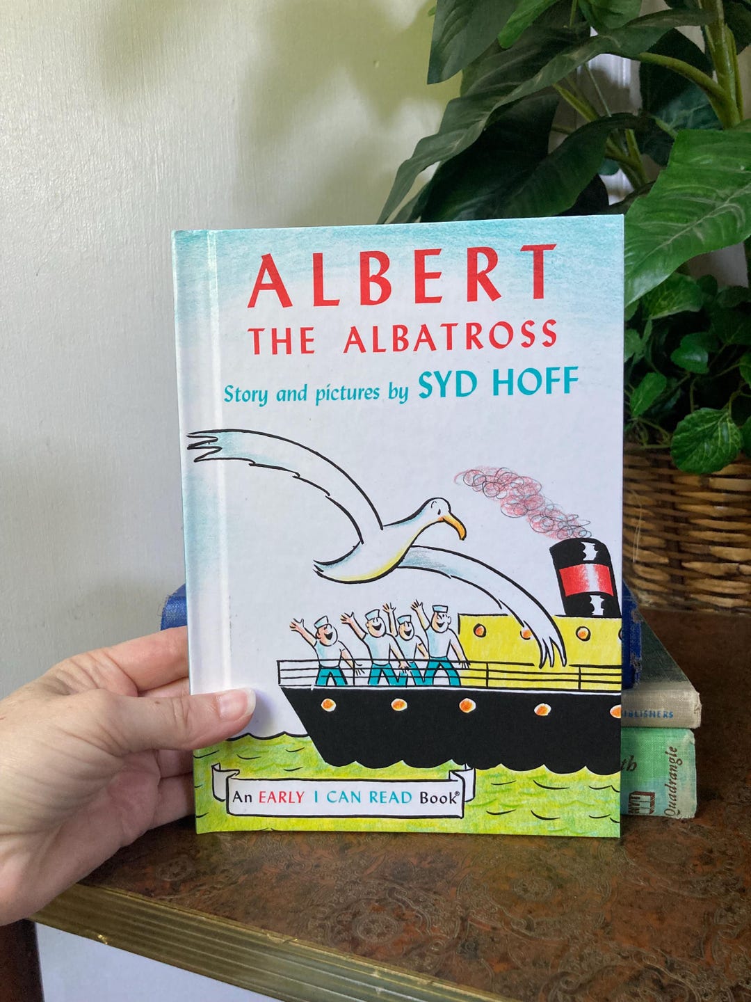 Albert the Albatross Kids Book - Etsy
