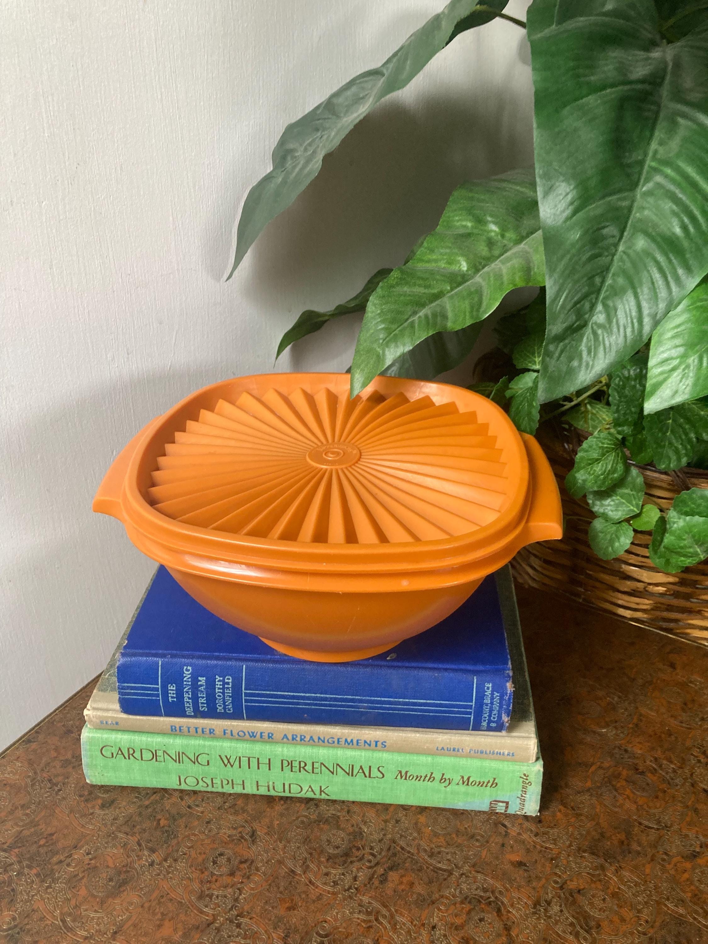Orange Tupperware Container - Etsy