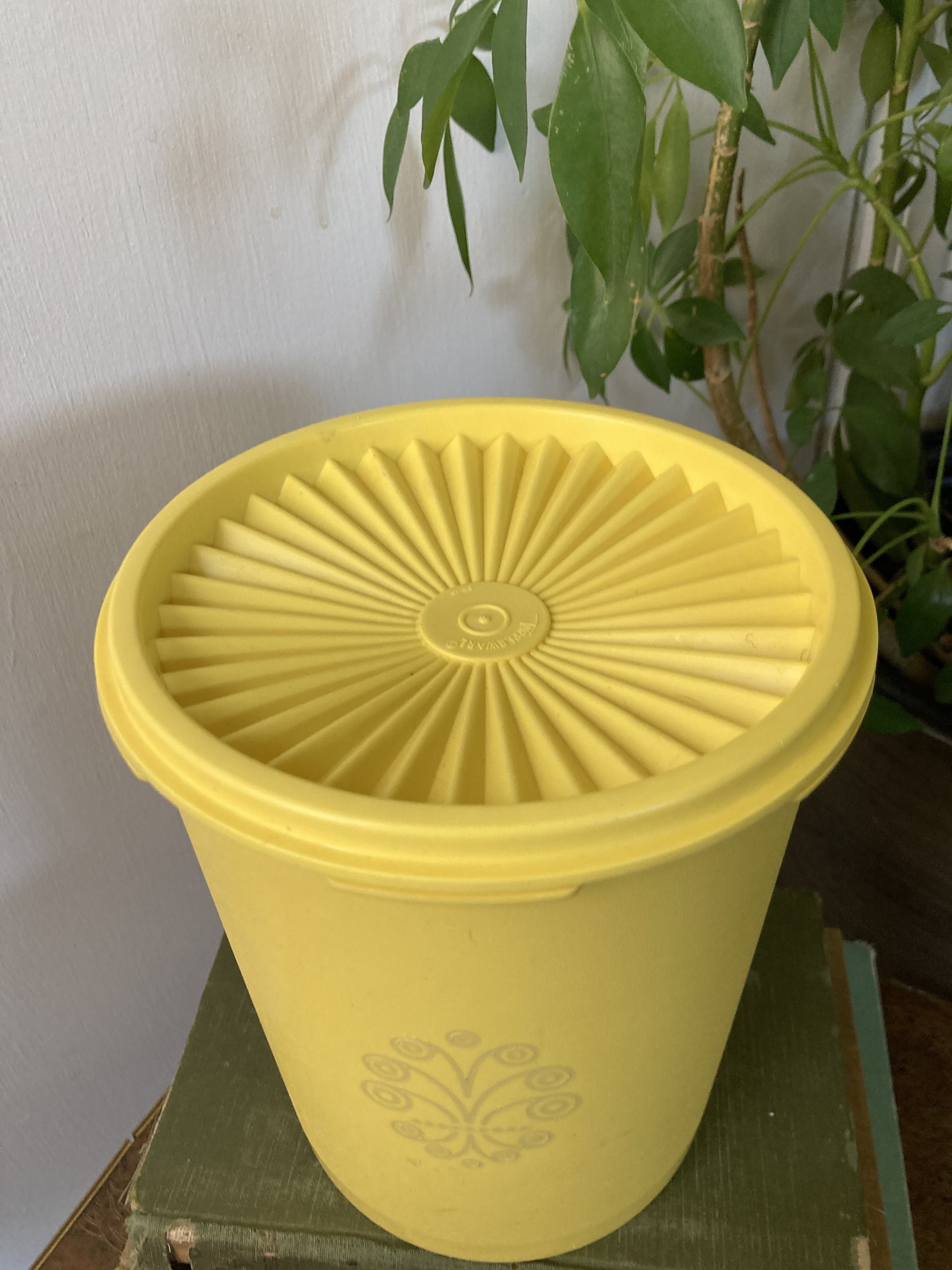 Yellow Tupperware Container - Etsy