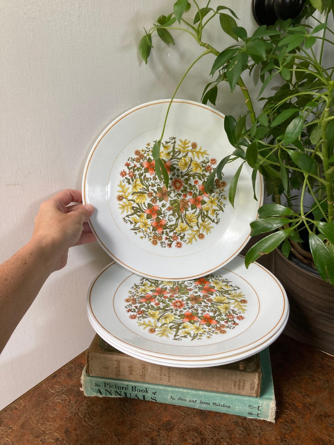 Correlle Indian Summer Dinner Plates Etsy