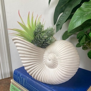 May include: A white seashell-shaped planter with a spiral design, filled with green and red-tipped faux succulents. The planter sits atop two blue books and a green book with the text "Gardening with Perennials".
