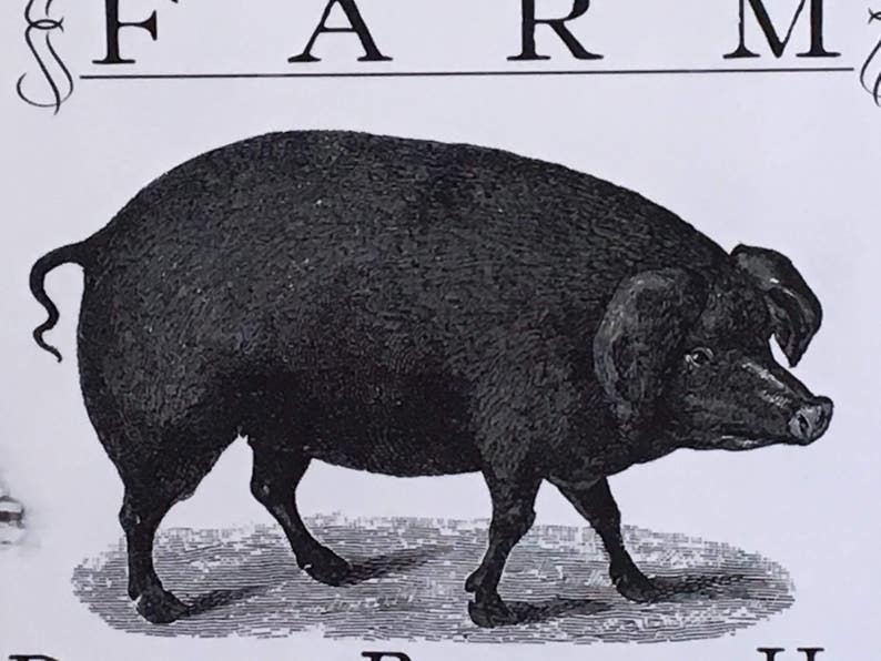 Hog Farm Sign Pig Decor Vintage Pig Sign Hog Farm Signs Etsy