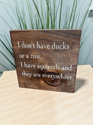 Targhetta In Legno Umoristica 12,7x12,7 Cm: 'I Don't Have Ducks Or A Row' - Decorazione Rustica Per Scrivania, Scaffale O Casa