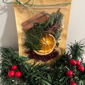 May include: A clear cellophane bag filled with dried orange slices, cinnamon sticks, star anise, and evergreen sprigs, tied with twine. The bag sits on a bed of dried cranberries and is surrounded by a garland of green pine needles and red berries.