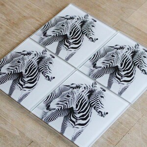 May include: Set of four square coasters featuring black and white zebra print. Each coaster has a different image of two zebras.
