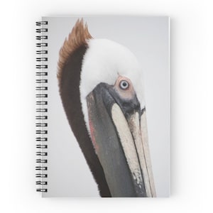Quaderno pellicano, regalo per Birder, quaderno per uccelli costieri, quaderno a spirale grigio, libro degli ospiti per la casa sulla spiaggia, diario di gratitudine regalo per scrittore