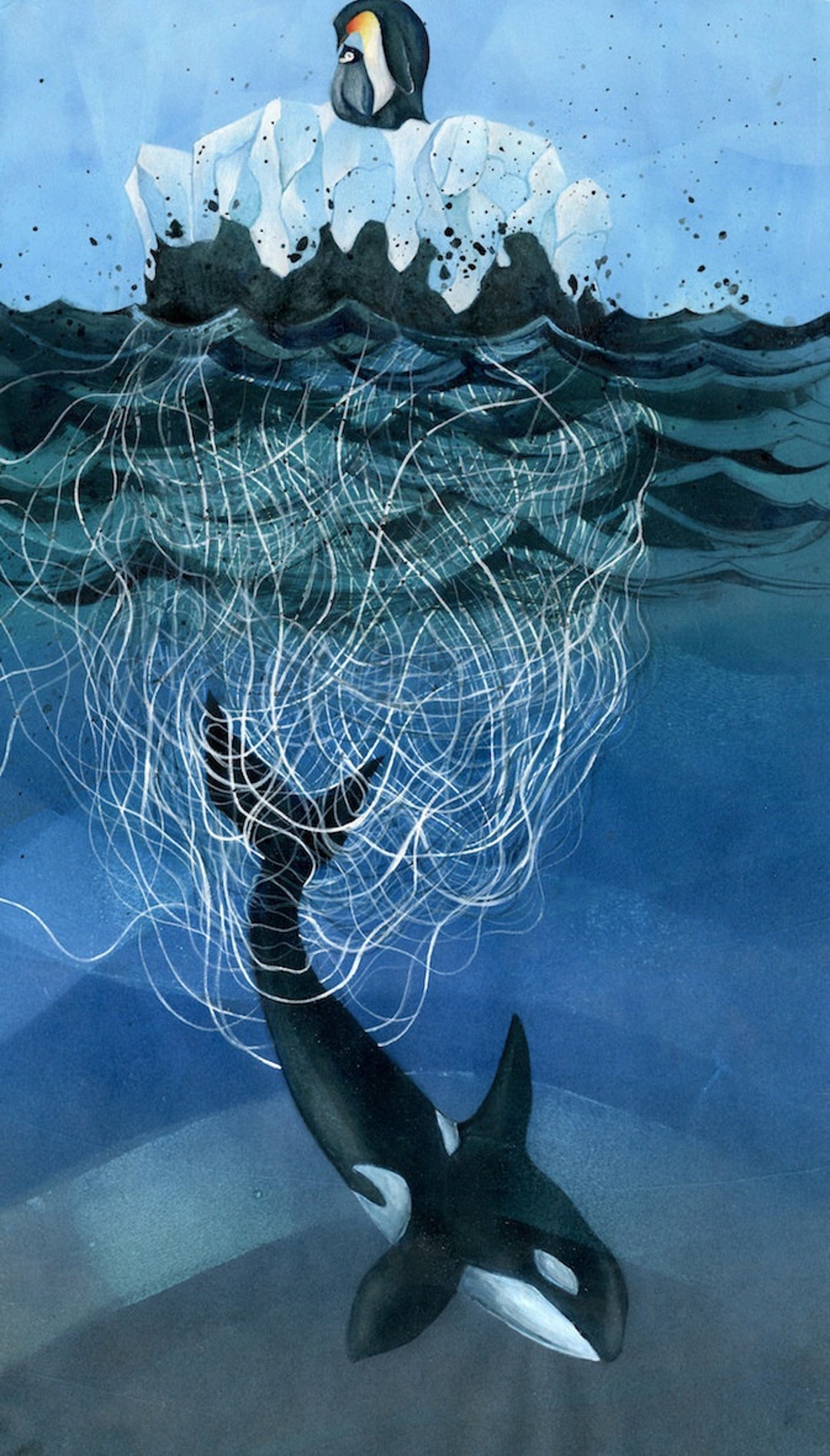 Bycatch Illustration