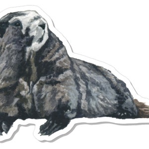 Marmot-sticker