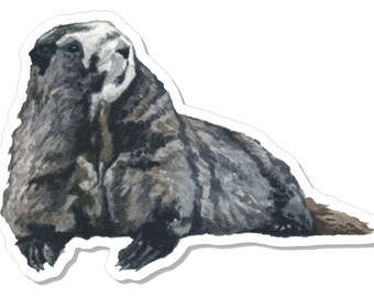 Murmeltier Sticker