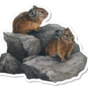 Berg Pika-sticker