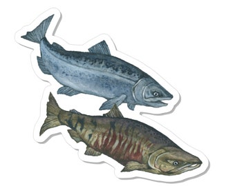 Salmon Sticker (Chum)