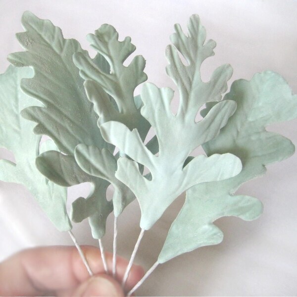 Dusty Miller Leaves - gumpaste filler flowers cake toppers gum paste decoration