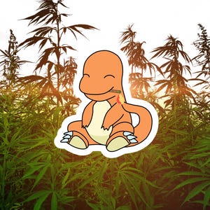 May include: An orange cartoon character with a red and yellow flame on its back, sitting in a field of green marijuana plants.