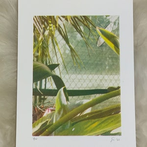 Plant Risograph Print