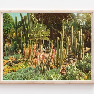 Huntington Cacti II Risograph Print Poster