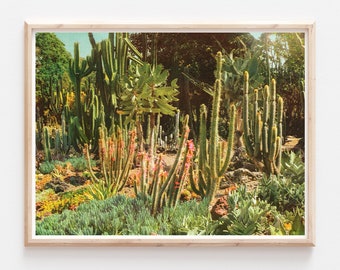 Huntington Cacti II Risograph Print Poster