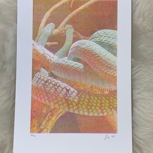 Pastel Snakes Risograph Print