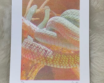 Pastel Snakes Risograph Print