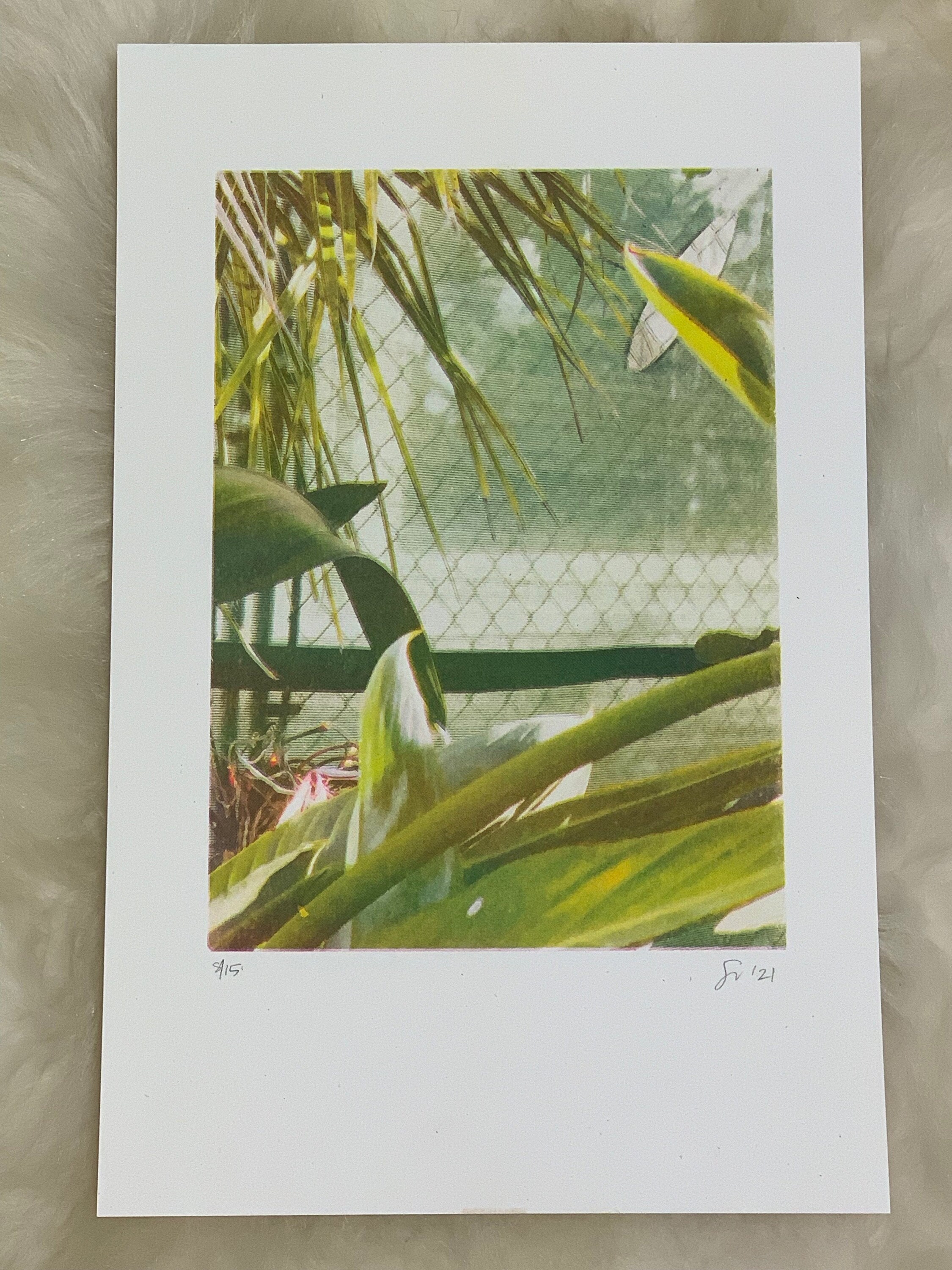 Plant Risograph Print