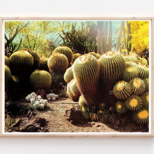 Huntington Cacti I Risograph Print Poster