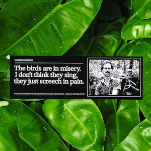 May include: A black and white graphic with text by Werner Herzog, "The birds are in misery. I don't think they sing, they just screech in pain." The graphic includes a portrait of Werner Herzog and is set against a background of large, green leaves.