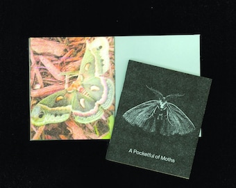 A Pocketful Of Moths - Mini Risograph Zine