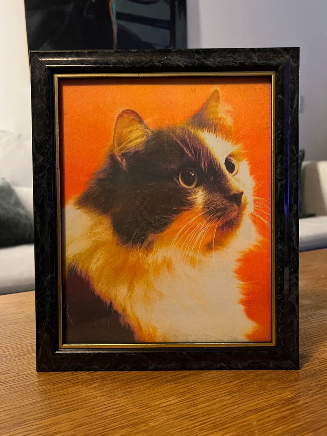 Custom Risograph Pet Portraits - Etsy