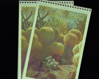 2027 Risograph Desert & Cacti Wall Calendar