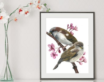 ORIGINAL sparrow colour pencil drawing 29x21cm  "Cute Couple