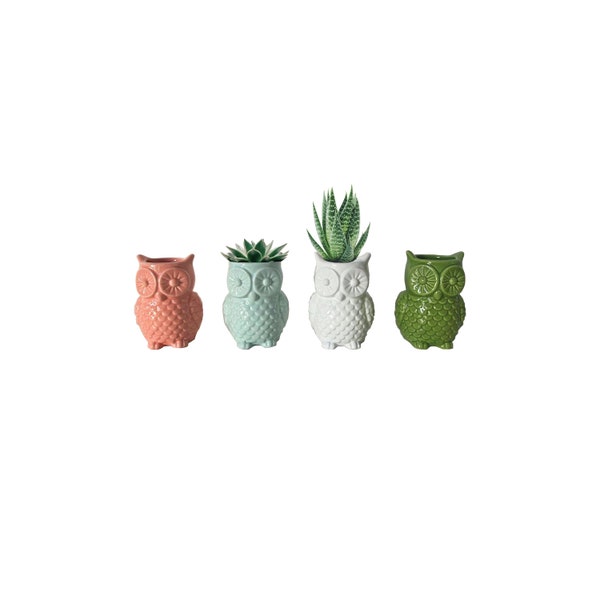 Stoneware Owl Shaped Vases, owl Shaped Succulent Planter, Ceramic owl Small Planter for Desk, Shelves, Living Room, Kitchen, Bedroom.