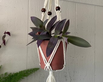 Macrame Plant Hanger