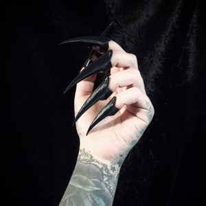 May include: A hand with long, black, pointed fingernails. The nails are sharply curved and extend beyond the fingertips. The background is a dark, solid colour, creating a dramatic contrast with the hand and nails.