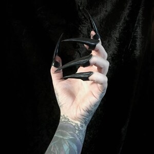 May include: A hand with long, black, pointed fingernails. The nails are glossy and extend far beyond the fingertips. The arm has a tattoo of a rose and other designs. The background is solid black.